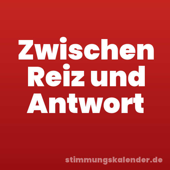 Zwischen Reiz und Antwort