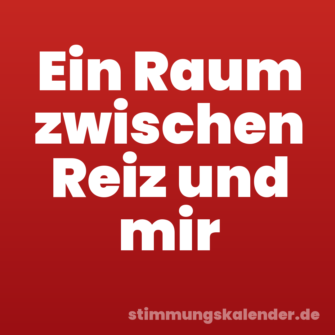 Ein Raum zwischen Reiz und mir