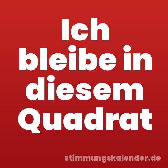 Ich bleibe in diesem Quadrat