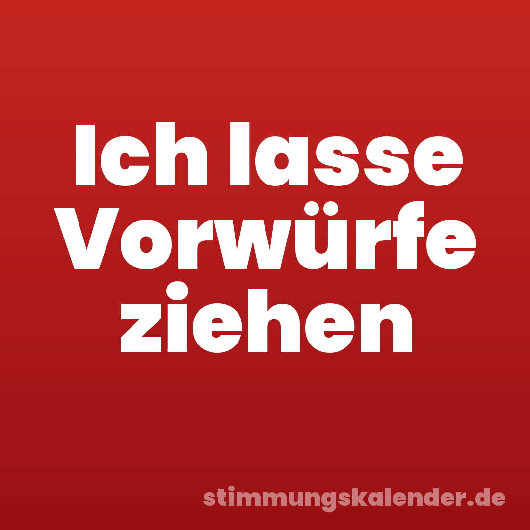 Ich lasse Vorwürfe ziehen