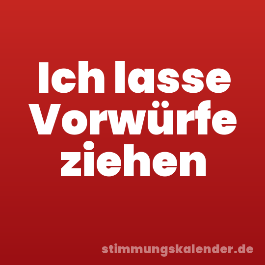 Ich lasse Vorwürfe ziehen