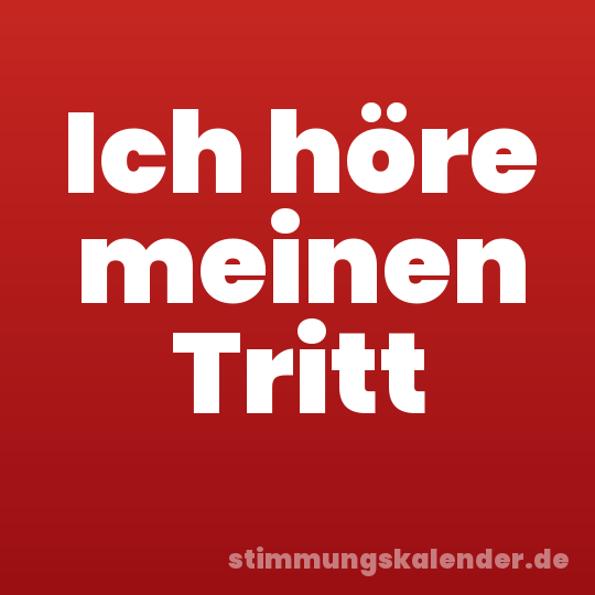 Ich höre meinen Tritt