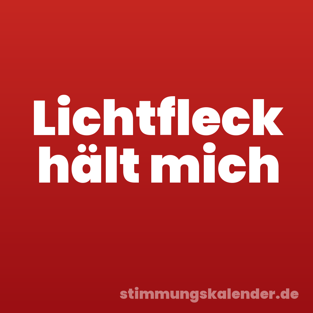 Lichtfleck hält mich