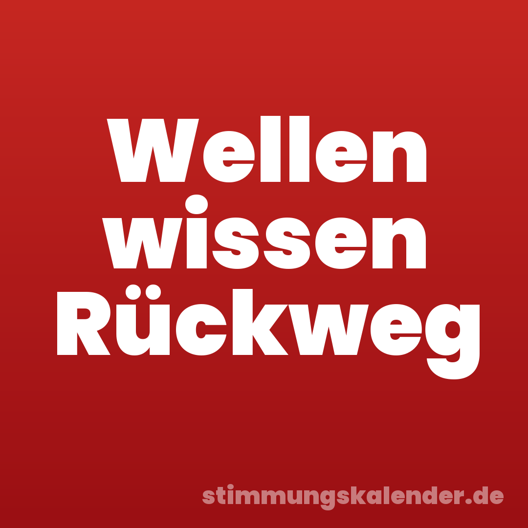 Wellen wissen Rückweg