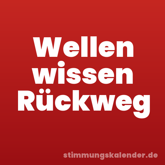 Wellen wissen Rückweg