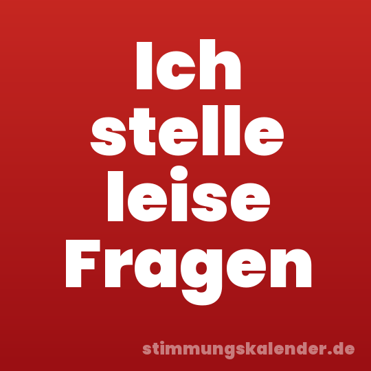 Ich stelle leise Fragen