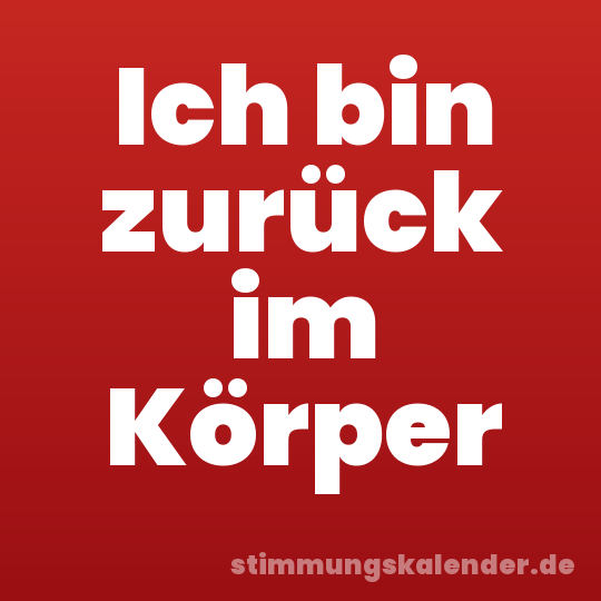 Ich bin zurück im Körper
