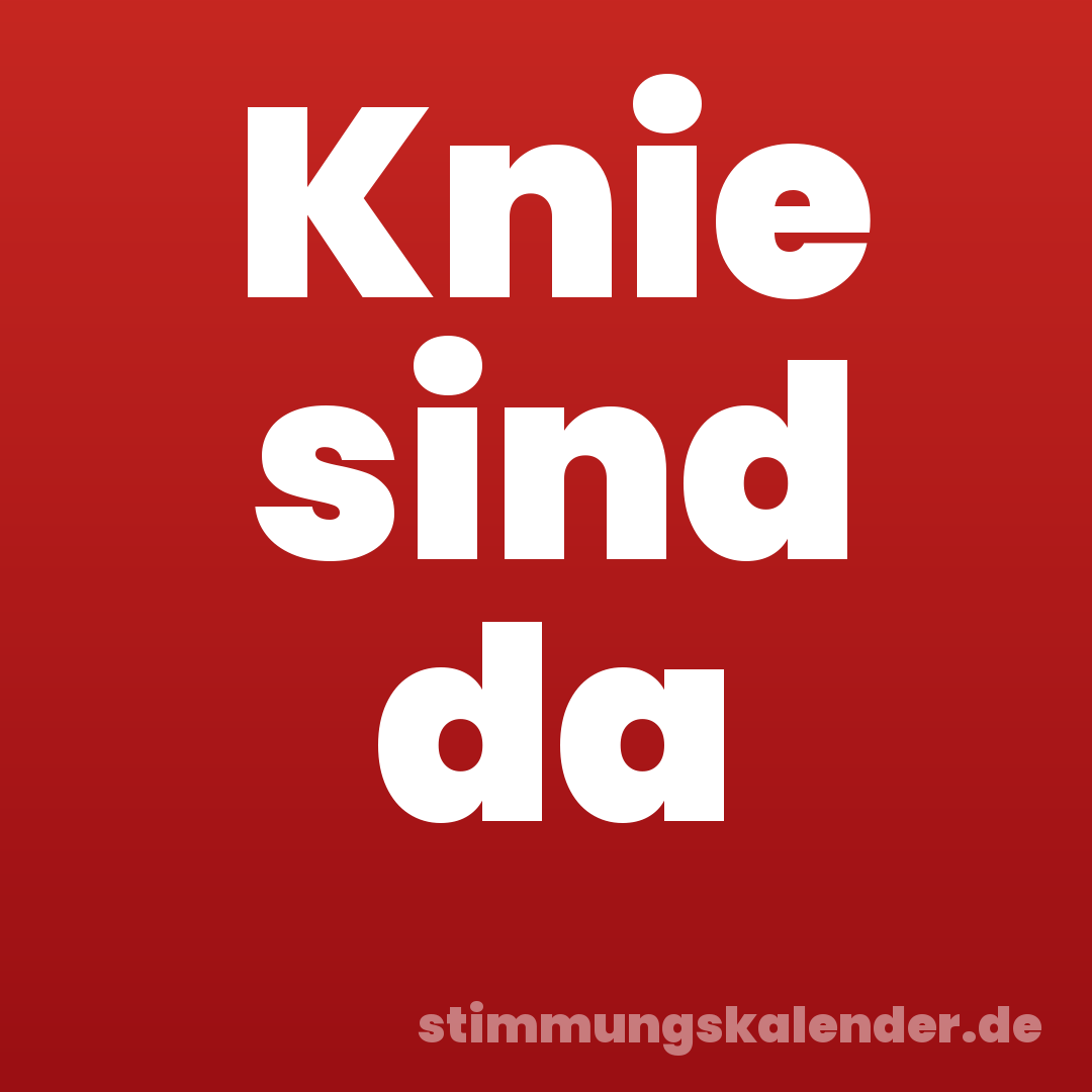 Knie sind da