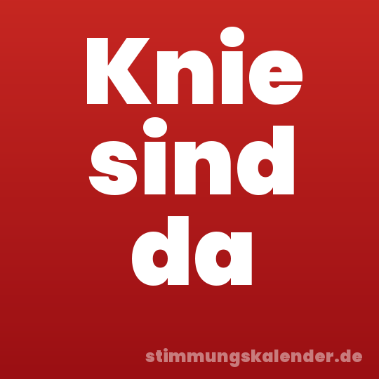 Knie sind da