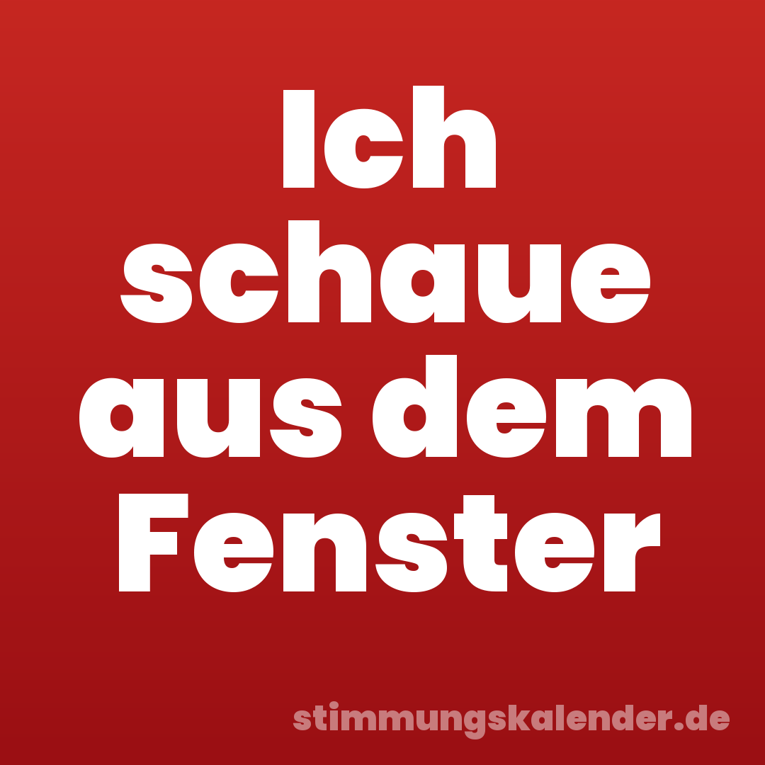 Ich schaue aus dem Fenster