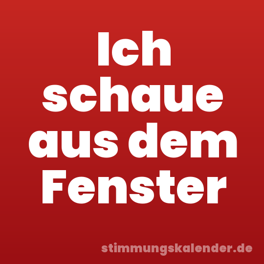 Ich schaue aus dem Fenster