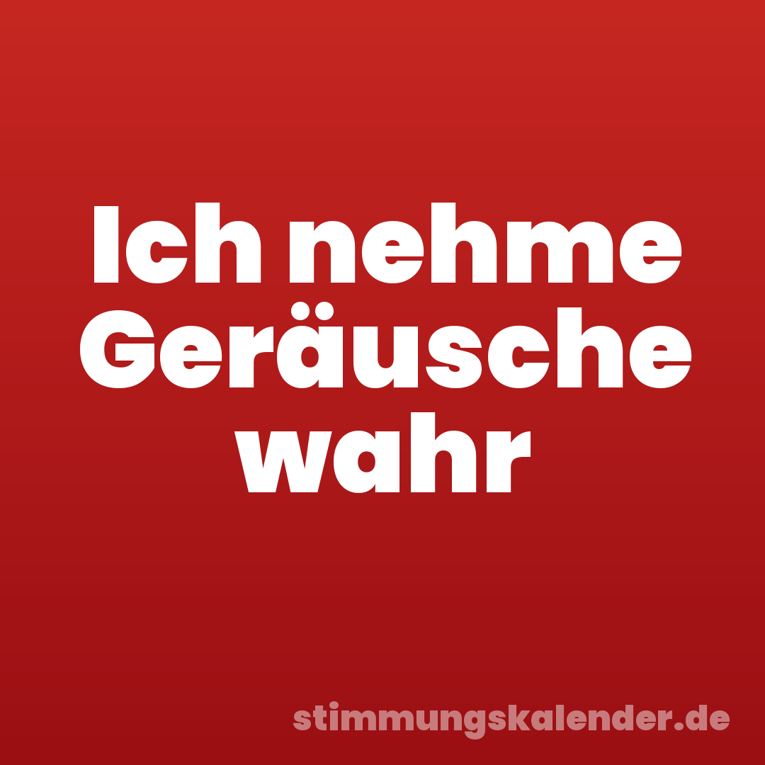 Ich nehme Geräusche wahr