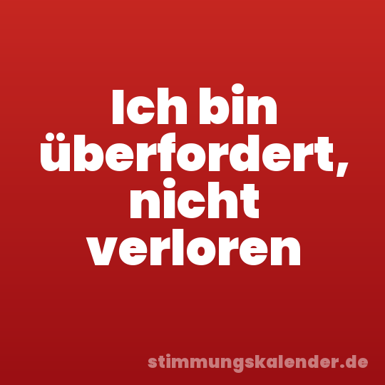 Ich bin überfordert, nicht verloren