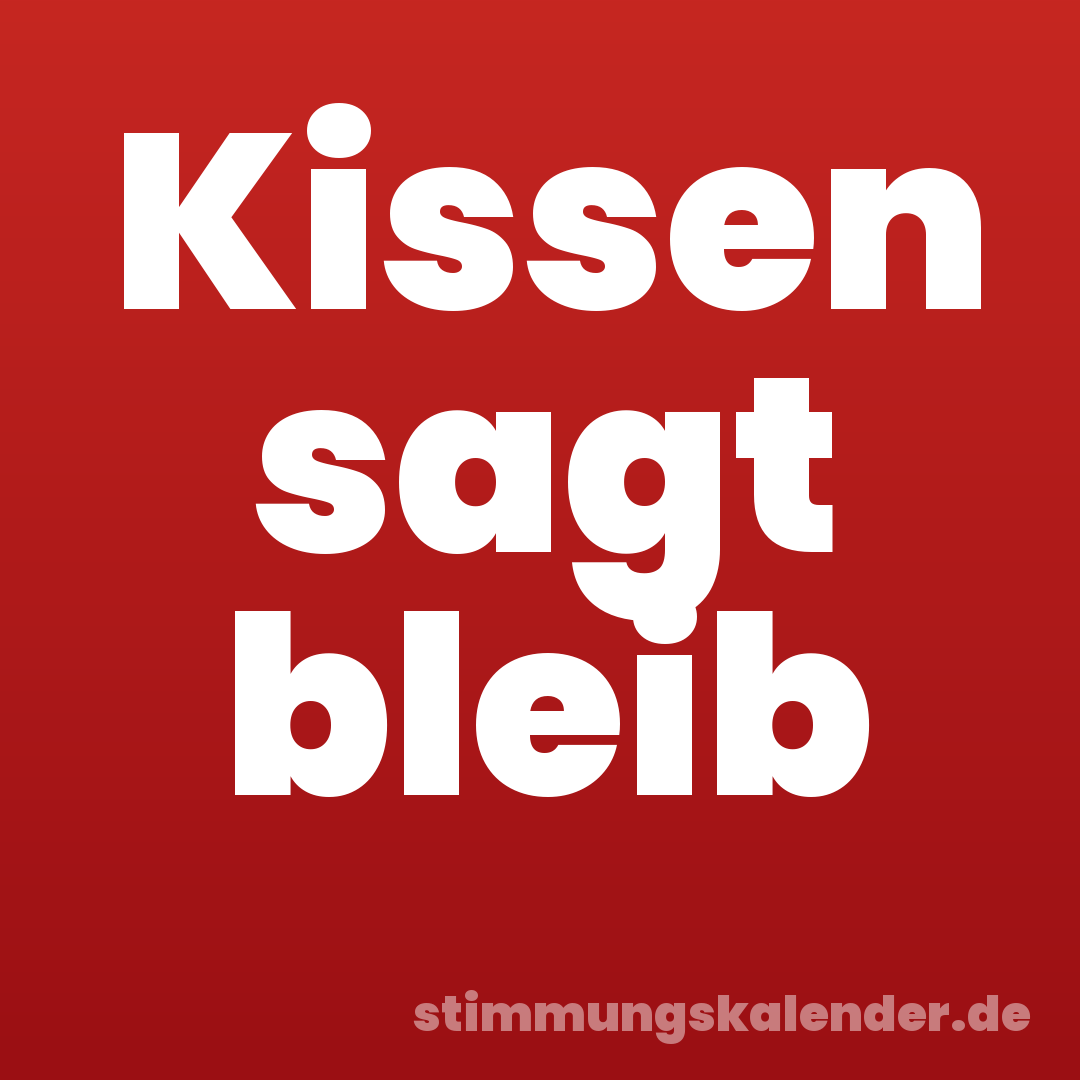 Kissen sagt bleib