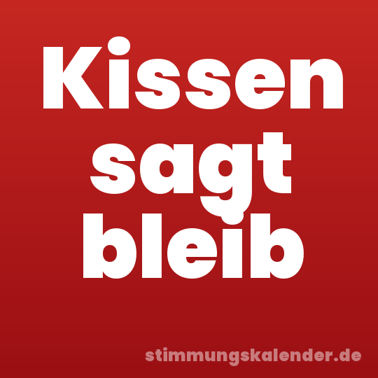 Kissen sagt bleib