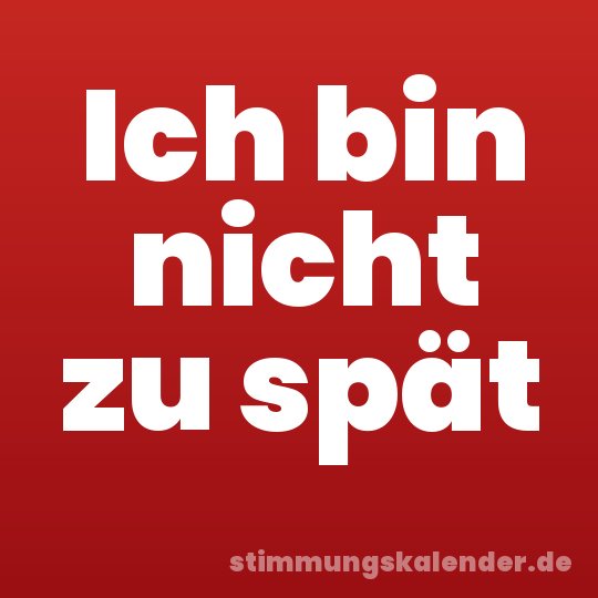 Ich bin nicht zu spät