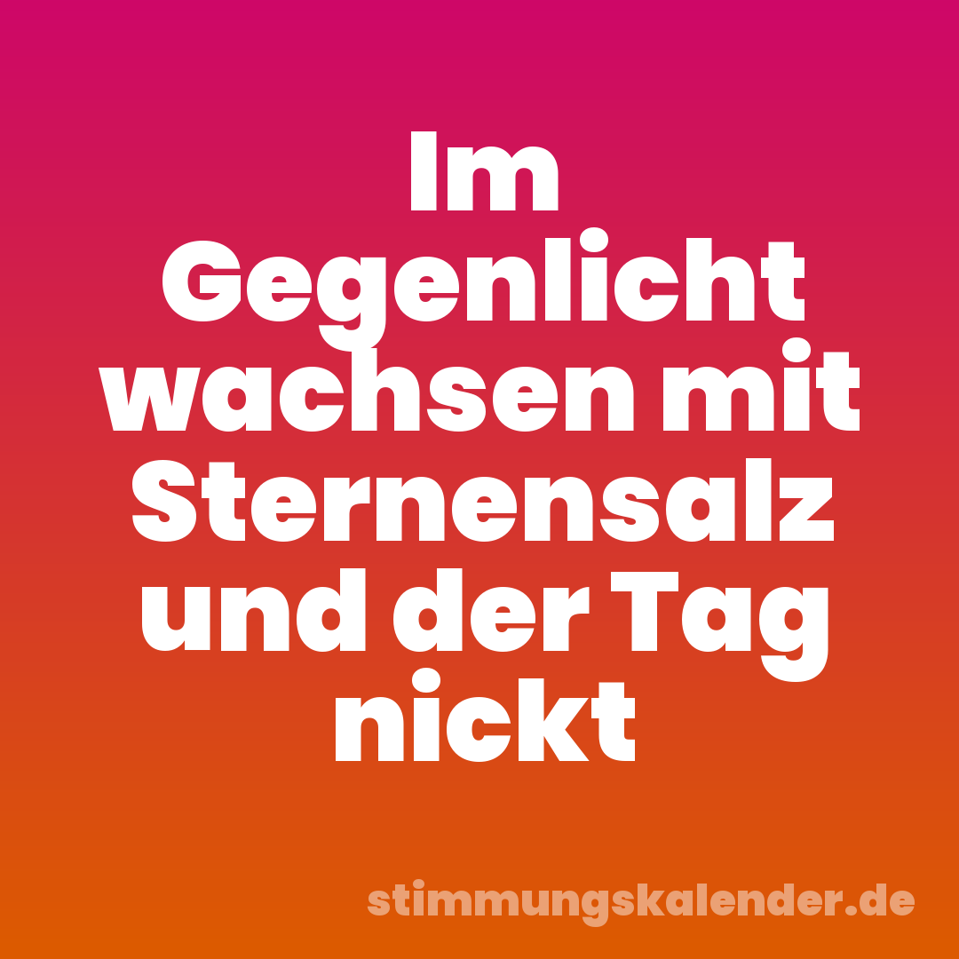 Im Gegenlicht wachsen mit Sternensalz und der Tag nickt