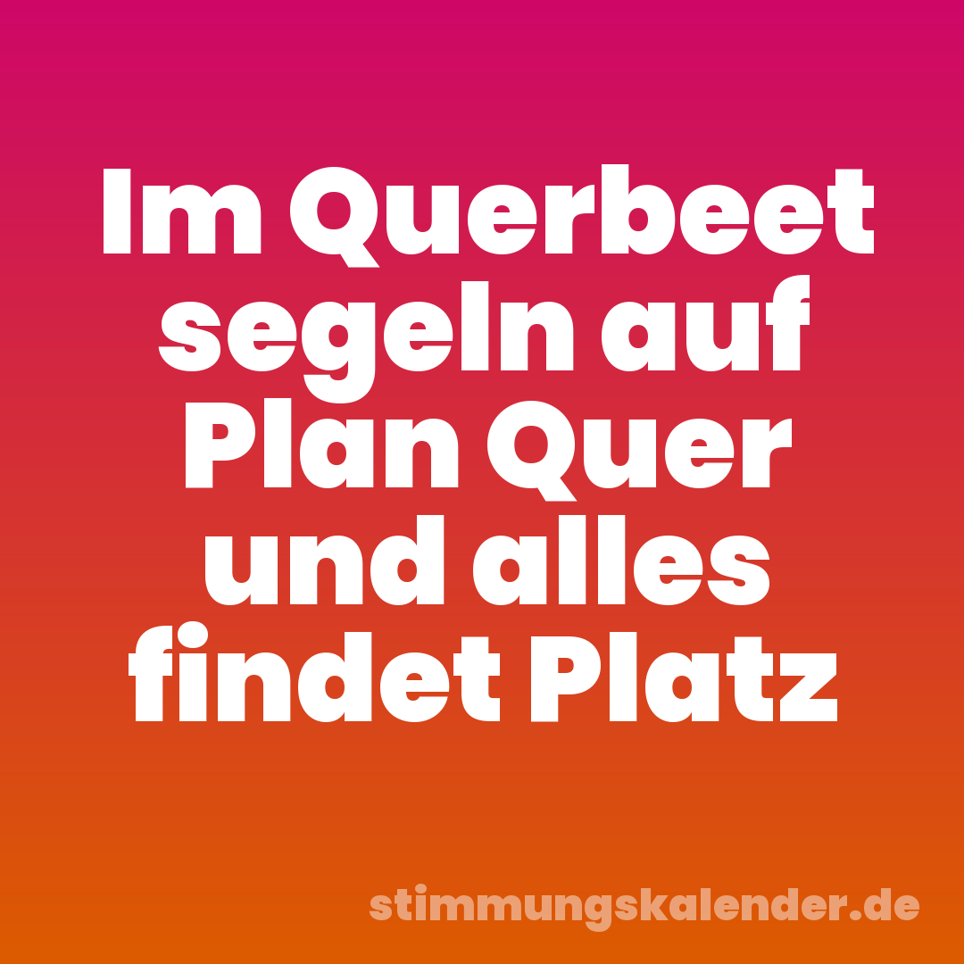 Im Querbeet segeln auf Plan Quer und alles findet Platz