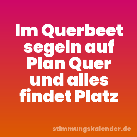 Im Querbeet segeln auf Plan Quer und alles findet Platz