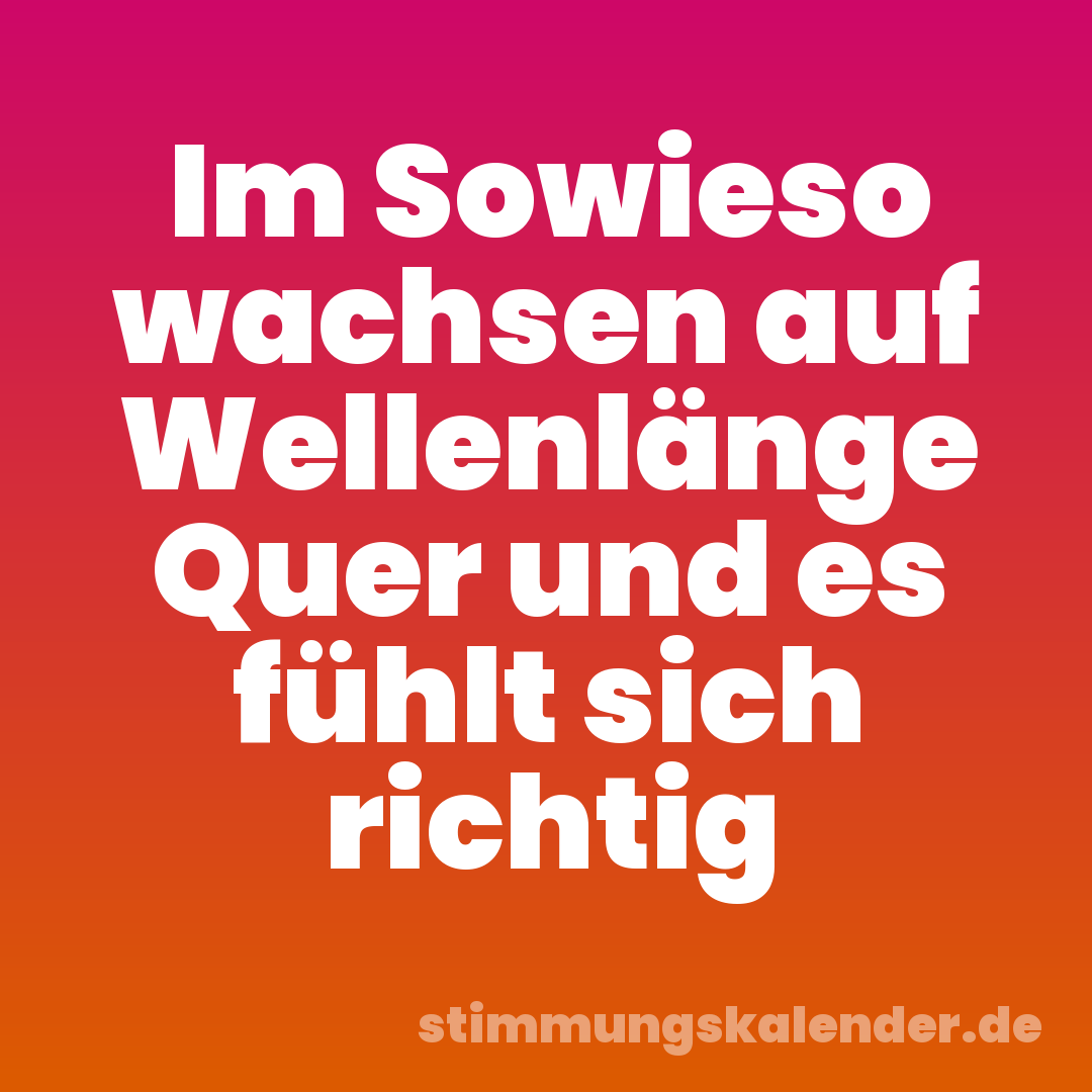 Im Sowieso wachsen auf Wellenlänge Quer und es fühlt sich richtig