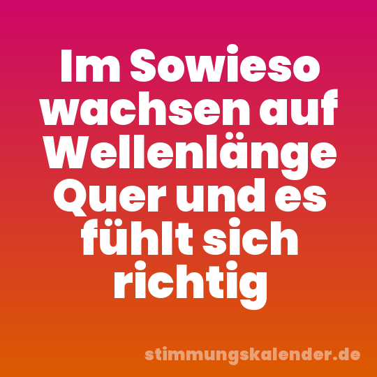 Im Sowieso wachsen auf Wellenlänge Quer und es fühlt sich richtig
