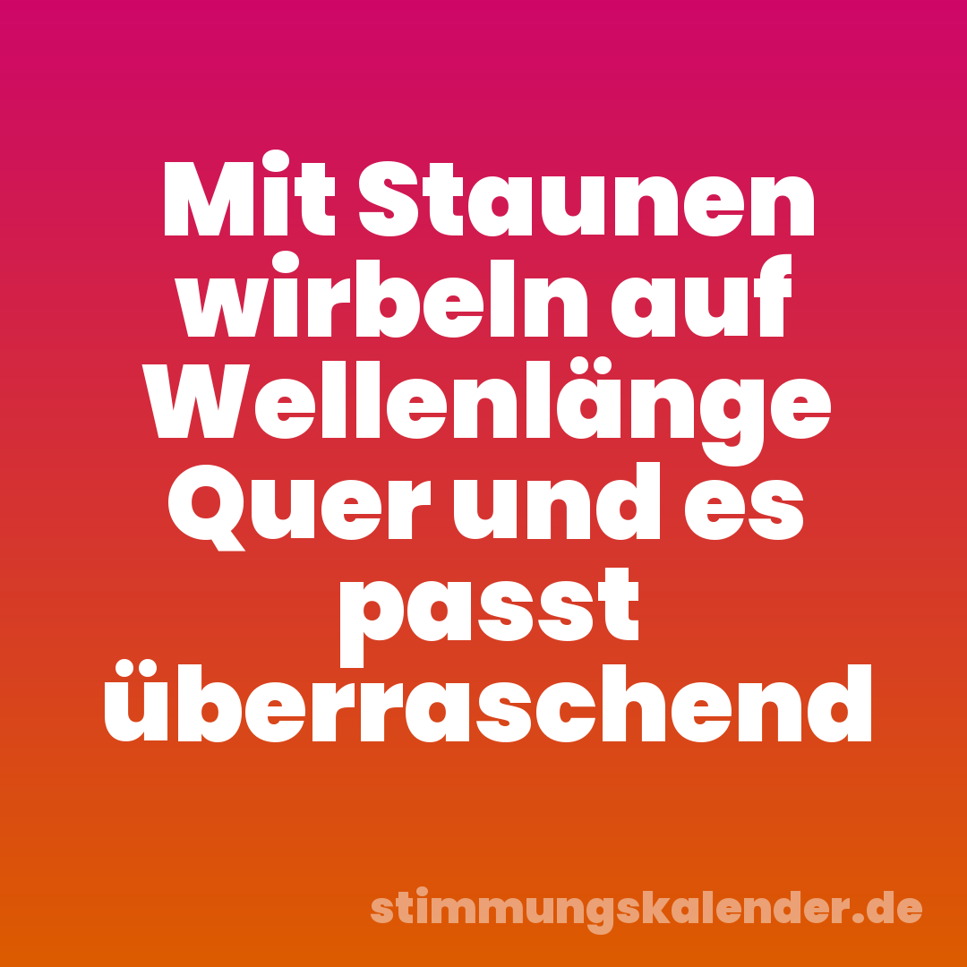 Mit Staunen wirbeln auf Wellenlänge Quer und es passt überraschend