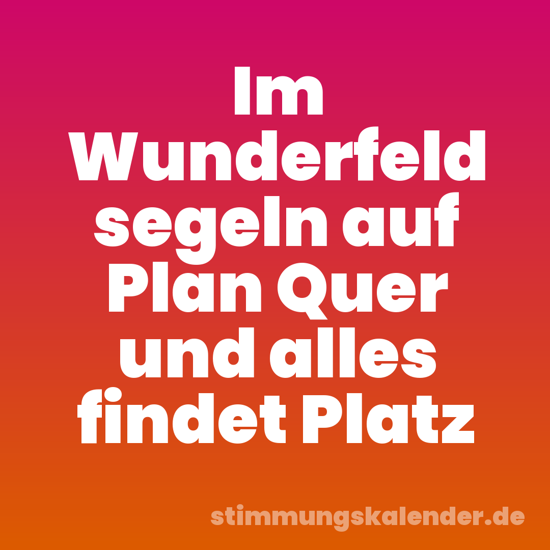 Im Wunderfeld segeln auf Plan Quer und alles findet Platz