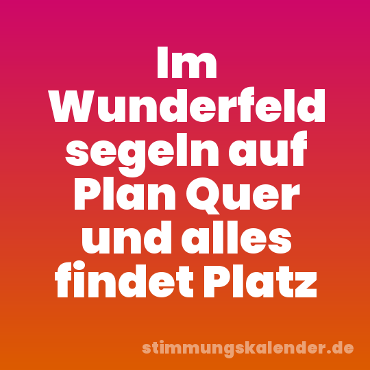 Im Wunderfeld segeln auf Plan Quer und alles findet Platz