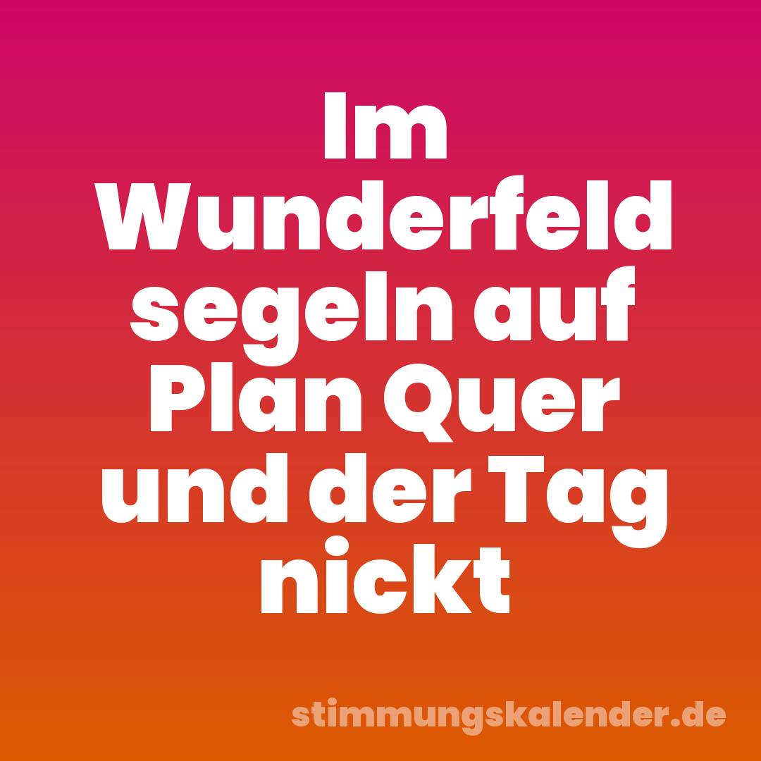 Im Wunderfeld segeln auf Plan Quer und der Tag nickt