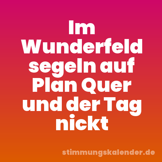 Im Wunderfeld segeln auf Plan Quer und der Tag nickt