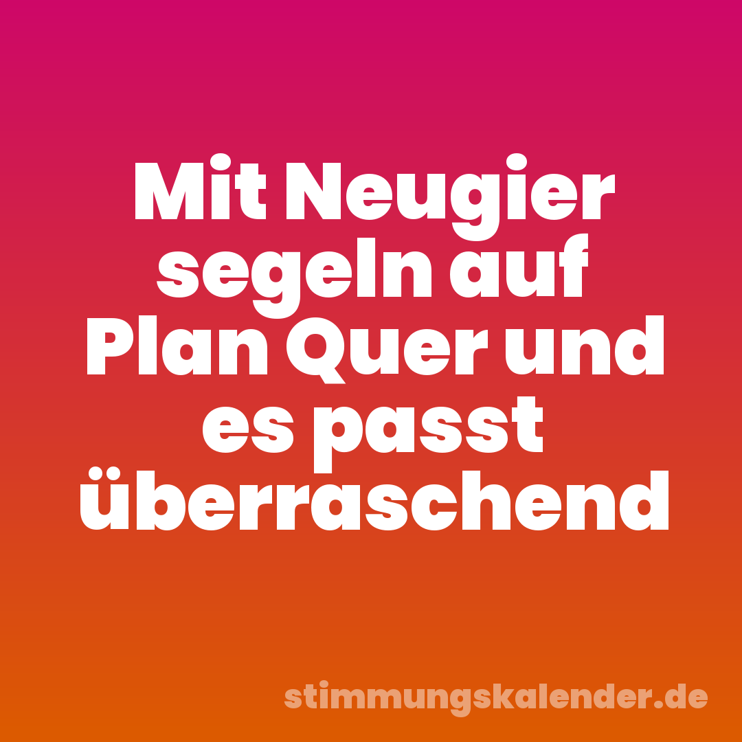 Mit Neugier segeln auf Plan Quer und es passt überraschend