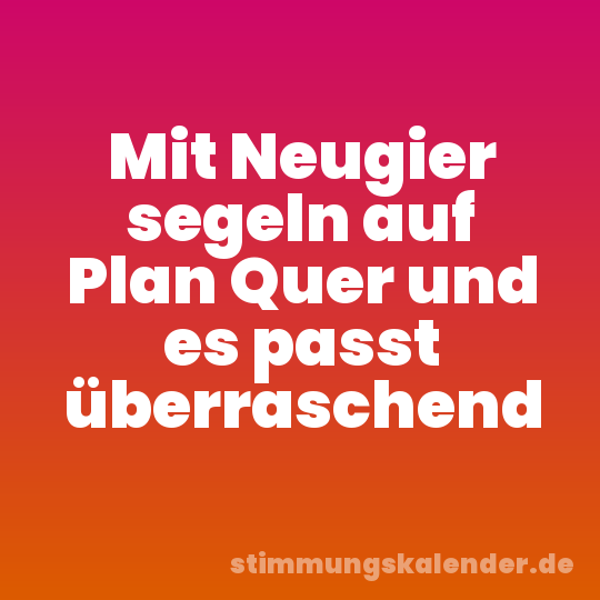Mit Neugier segeln auf Plan Quer und es passt überraschend