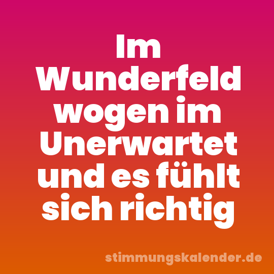 Im Wunderfeld wogen im Unerwartet und es fühlt sich richtig