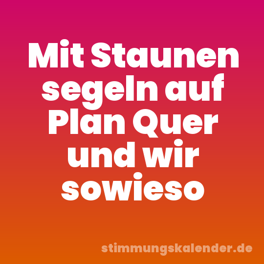 Mit Staunen segeln auf Plan Quer und wir sowieso