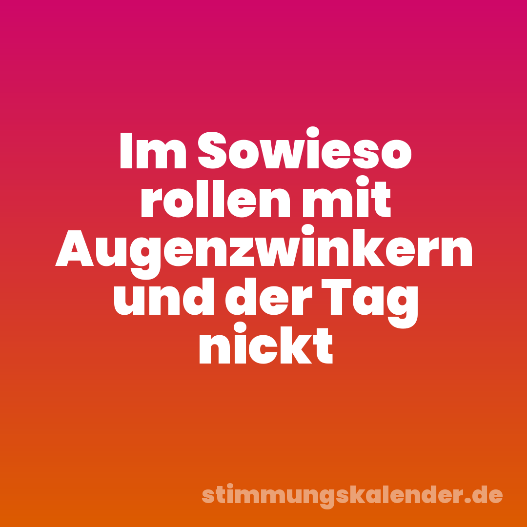 Im Sowieso rollen mit Augenzwinkern und der Tag nickt