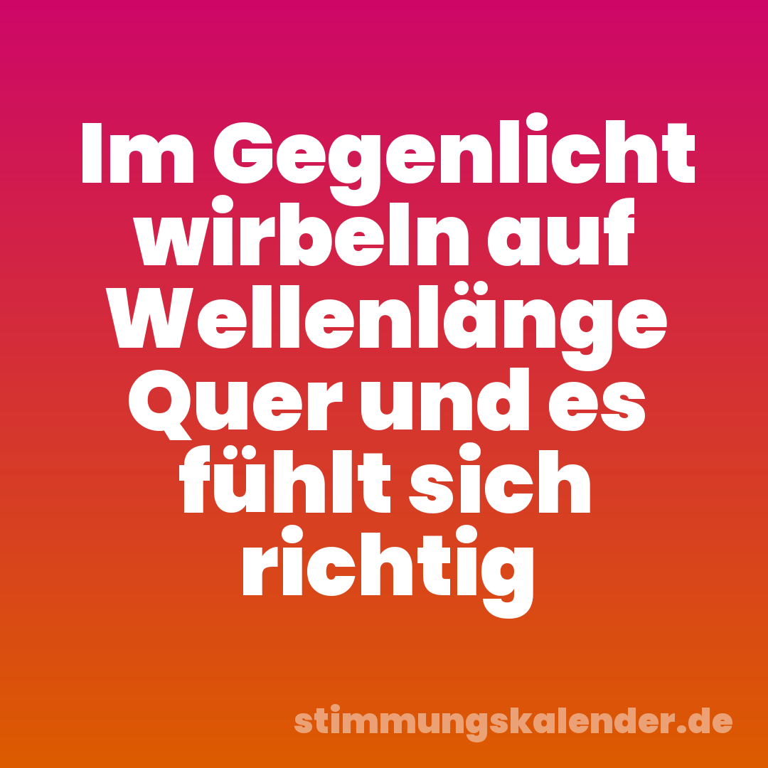 Im Gegenlicht wirbeln auf Wellenlänge Quer und es fühlt sich richtig