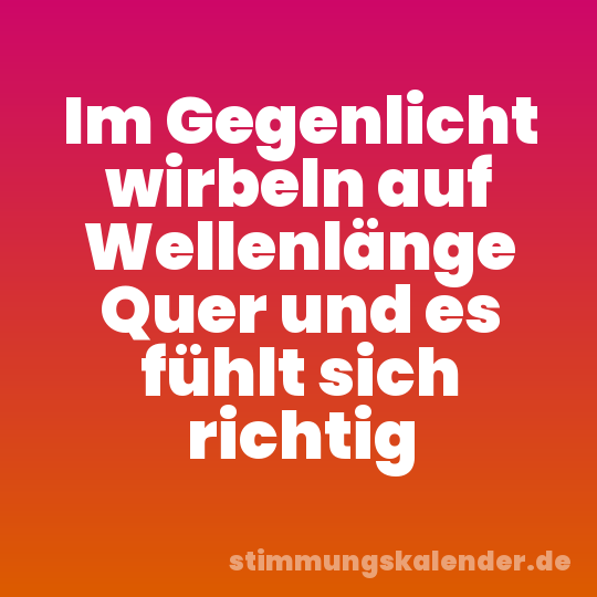 Im Gegenlicht wirbeln auf Wellenlänge Quer und es fühlt sich richtig