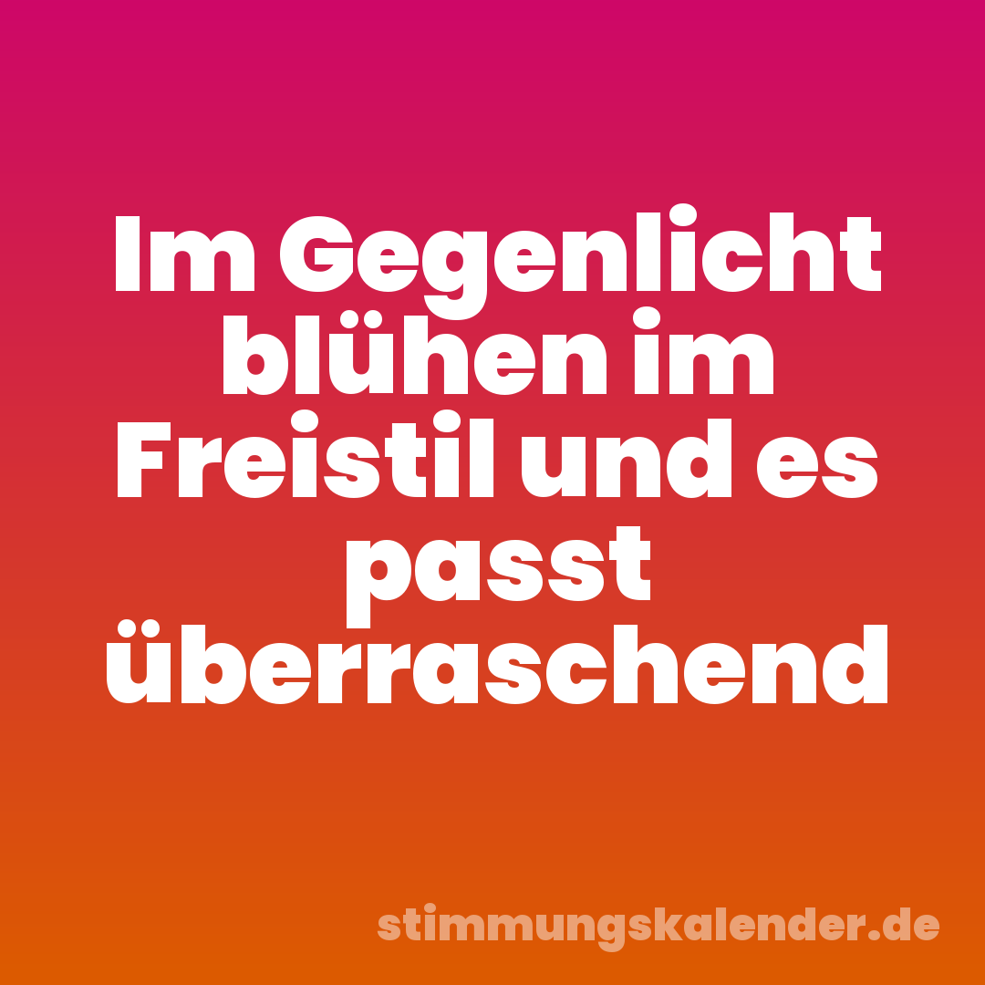 Im Gegenlicht blühen im Freistil und es passt überraschend