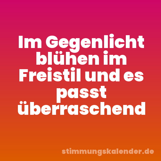 Im Gegenlicht blühen im Freistil und es passt überraschend