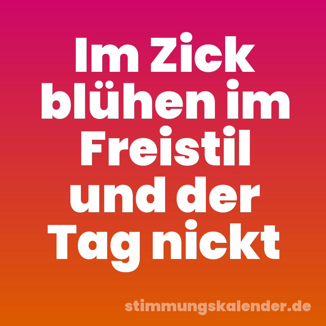 Im Zick blühen im Freistil und der Tag nickt