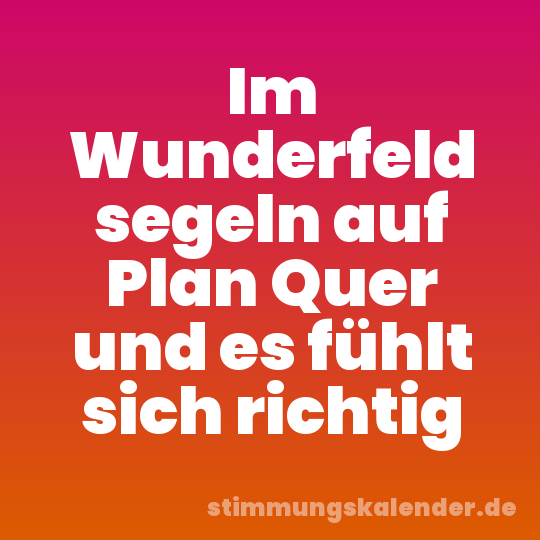 Im Wunderfeld segeln auf Plan Quer und es fühlt sich richtig