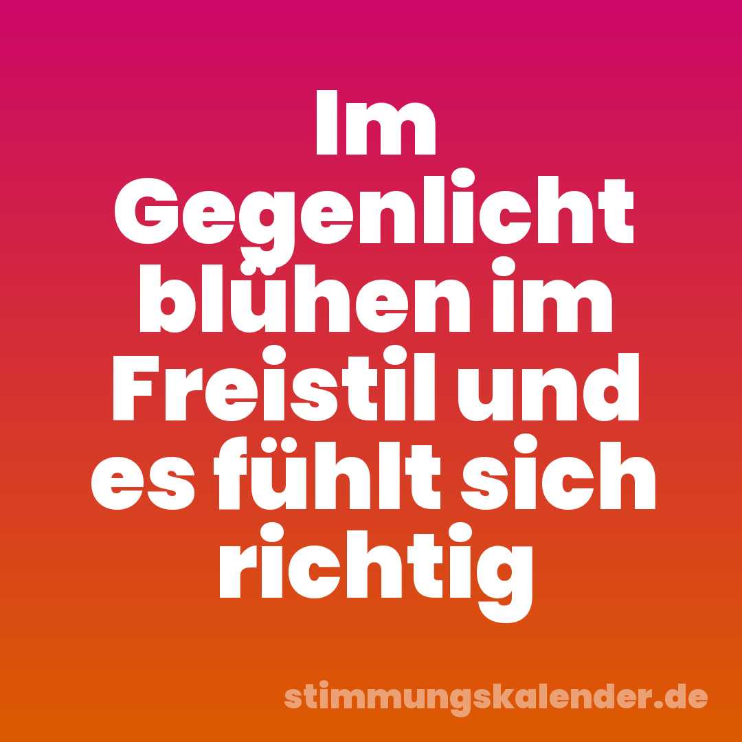 Im Gegenlicht blühen im Freistil und es fühlt sich richtig