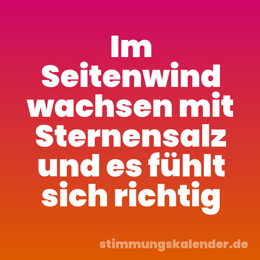 Im Seitenwind wachsen mit Sternensalz und es fühlt sich richtig