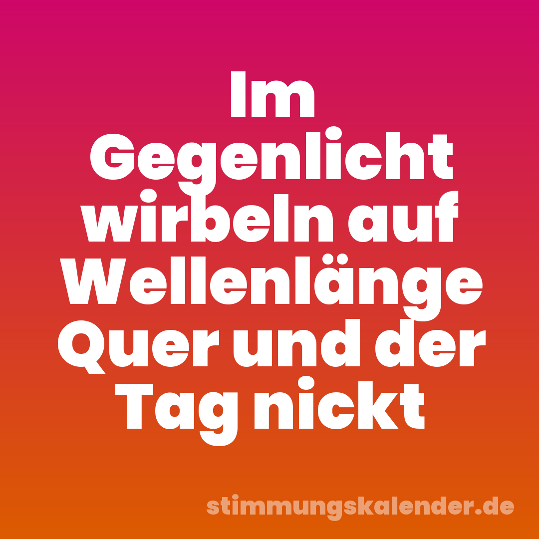 Im Gegenlicht wirbeln auf Wellenlänge Quer und der Tag nickt