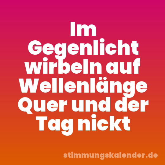 Im Gegenlicht wirbeln auf Wellenlänge Quer und der Tag nickt