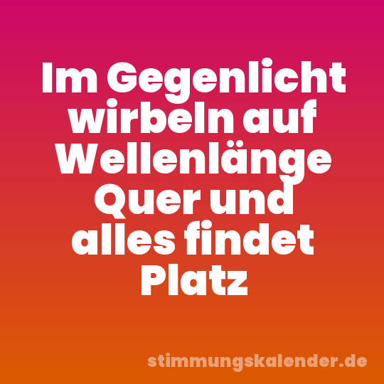 Im Gegenlicht wirbeln auf Wellenlänge Quer und alles findet Platz