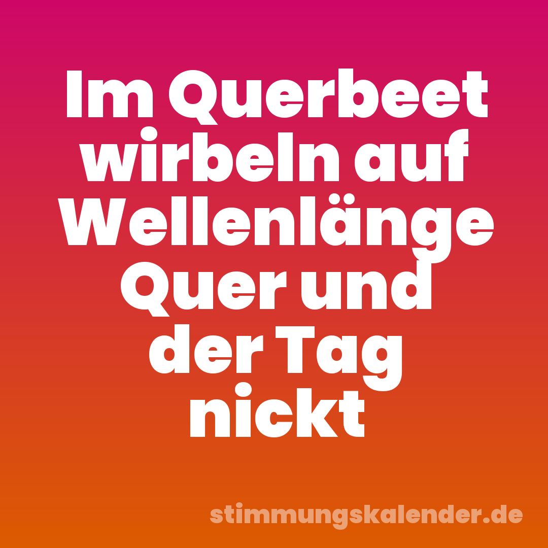 Im Querbeet wirbeln auf Wellenlänge Quer und der Tag nickt