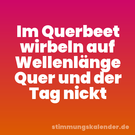 Im Querbeet wirbeln auf Wellenlänge Quer und der Tag nickt