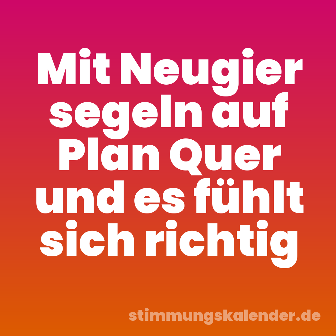 Mit Neugier segeln auf Plan Quer und es fühlt sich richtig