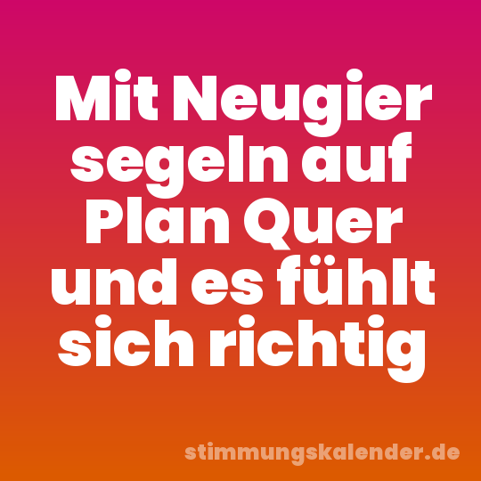 Mit Neugier segeln auf Plan Quer und es fühlt sich richtig